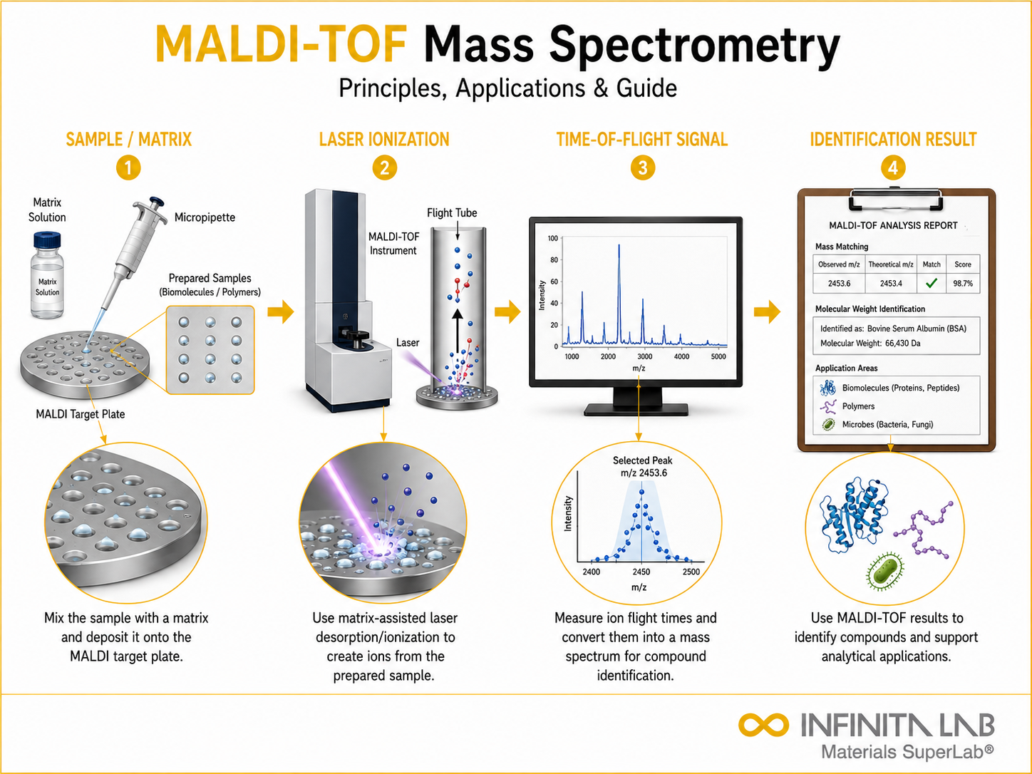 Infinita Engineering Visual showing Maldi Tof Mass spectroscopy / chromatography / elemental analysis workflow for maldi-tof mass spectrometry: principles, applications & guide.