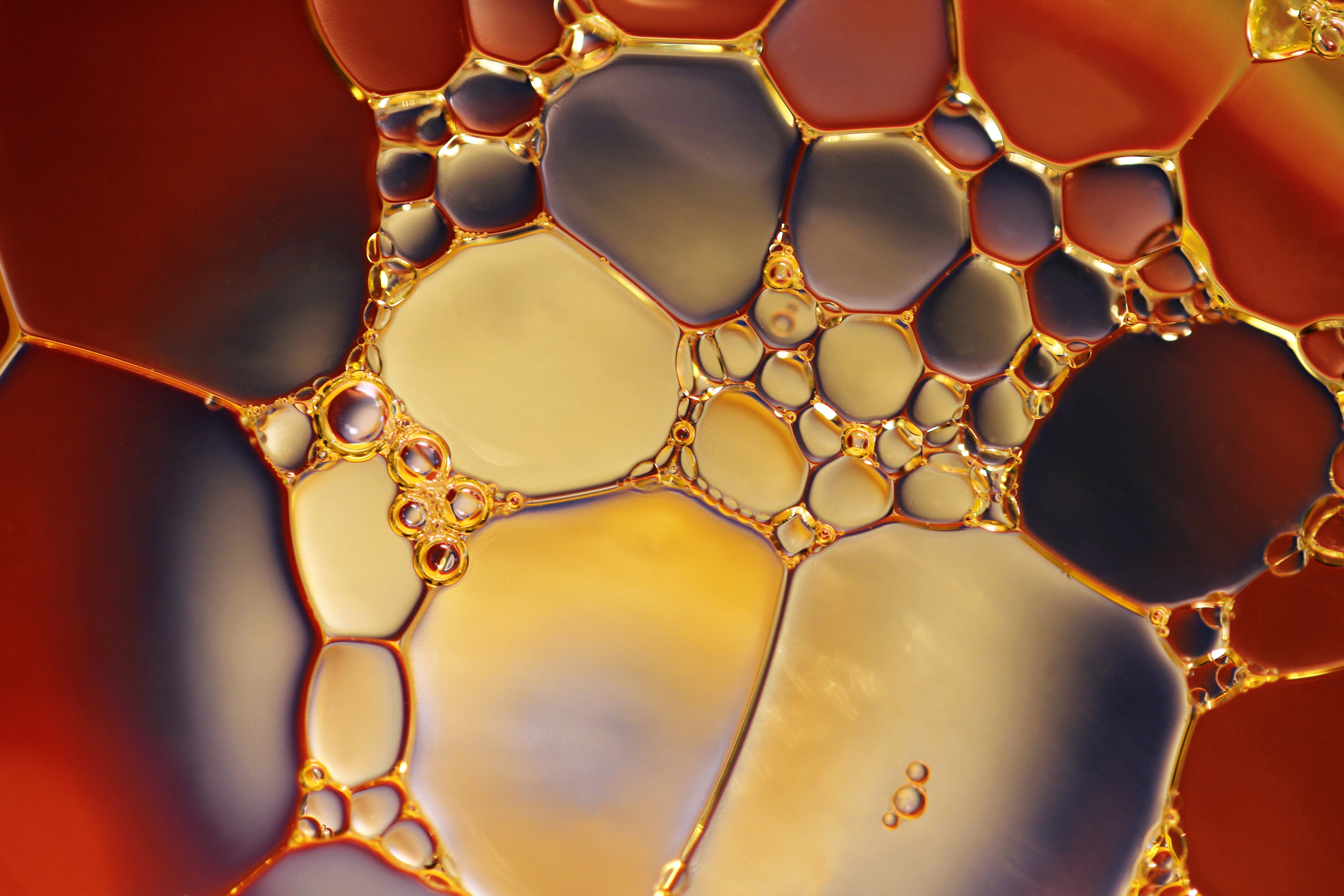 ASTM D6082 High-Temperature Foaming Testing for Lubricating Oils