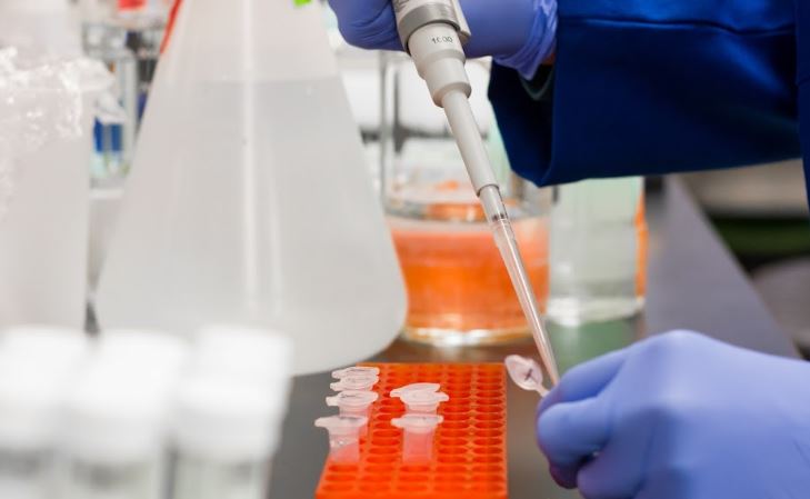 Thermal fluid sample being tested for viscosity and thermal conductivity at elevated temperature