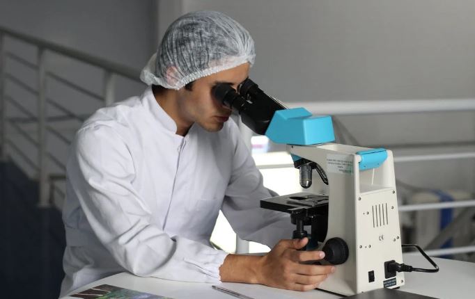 XPS analysis spectrum validating plasma surface modification on polymer substrate