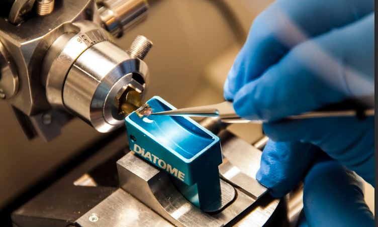 What Is Density Measurement | Common Uses of Density Measurements | Methods, Standards, and Industry Applications