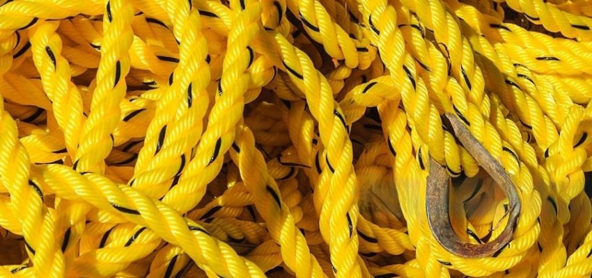 7 types of plastics and their health effects