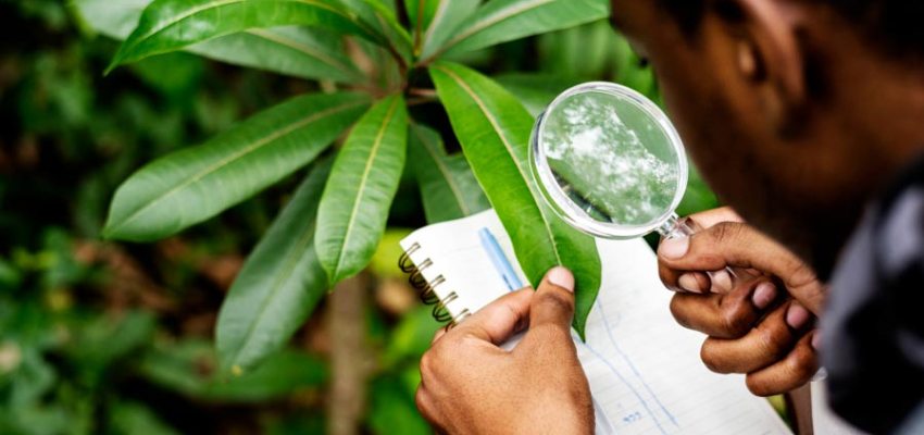 Guide to Air and Water Environmental Monitoring Tools