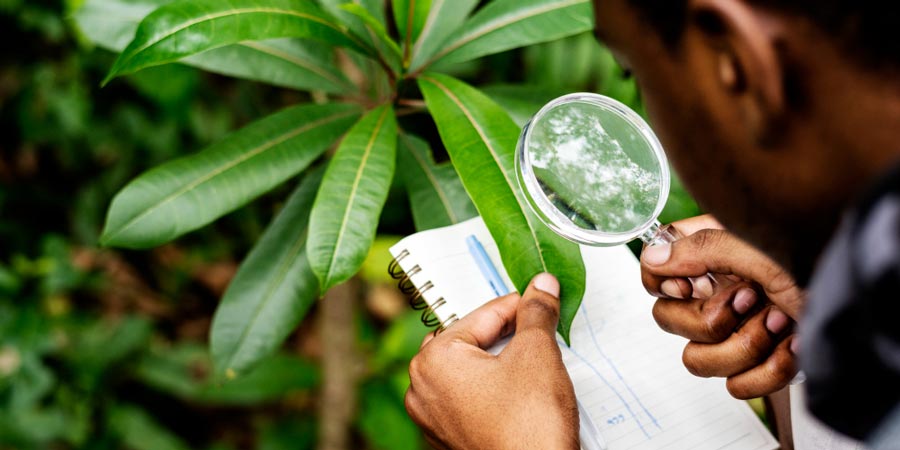 Guide to Air and Water Environmental Monitoring Tools