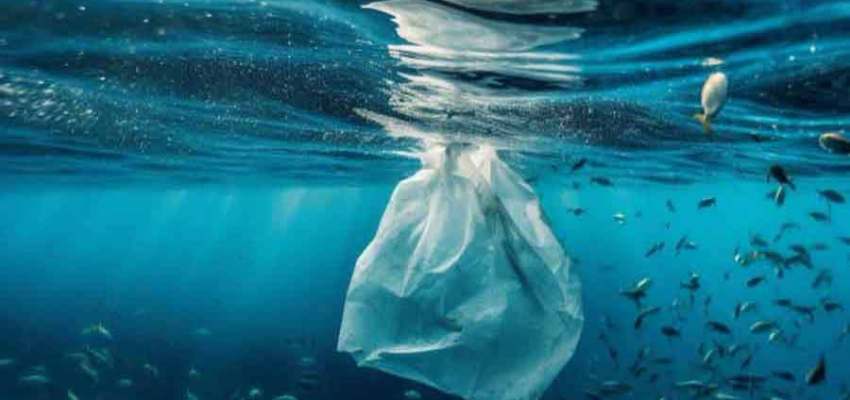 Ocean Plastic Pollution | An Overview, Data and Statistics