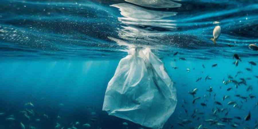 Ocean Plastic Pollution | An Overview, Data and Statistics