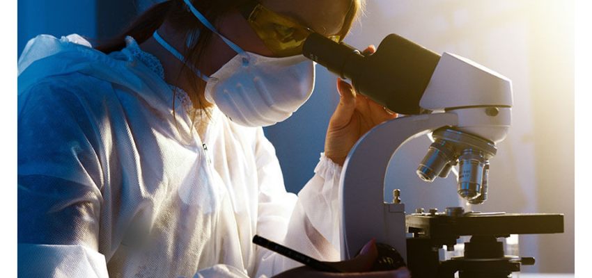 Optical Microscopy: Components, Types, and Industrial Use