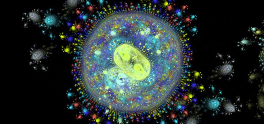 Cross-sectional SEM image showing biological film layer on OLED organic stack