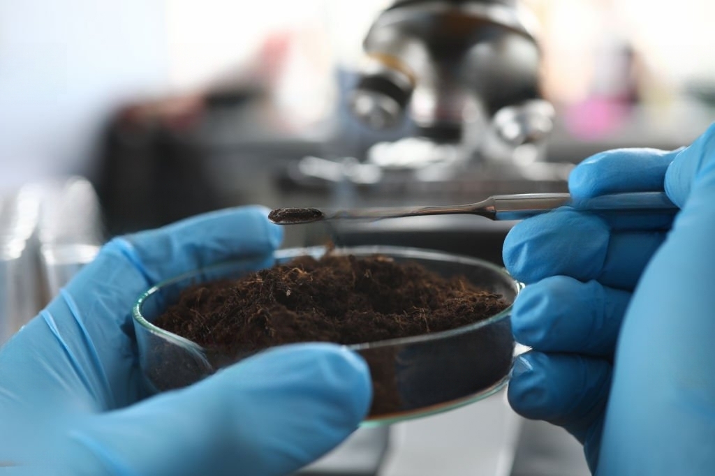 ASTM D 4452 X-Ray Radiography of Soil Samples