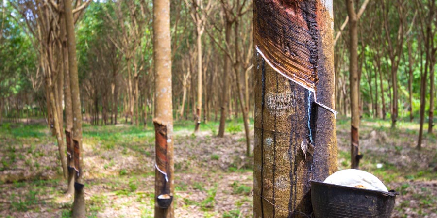 ASTM D1076 Rubber Latex Specification Testing