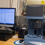 Thermogravimetric Analysis