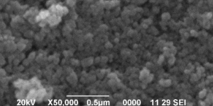 SEM secondary electron image showing surface topography of metal alloy at high magnification