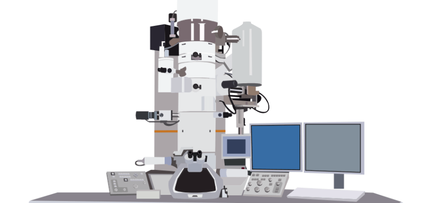 Transmission Electron Microscope