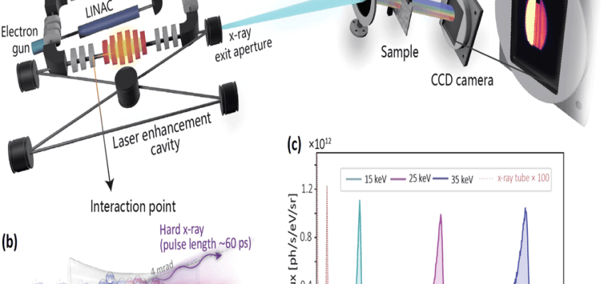 Micro X-ray Absorption Near Edge Spectroscopy